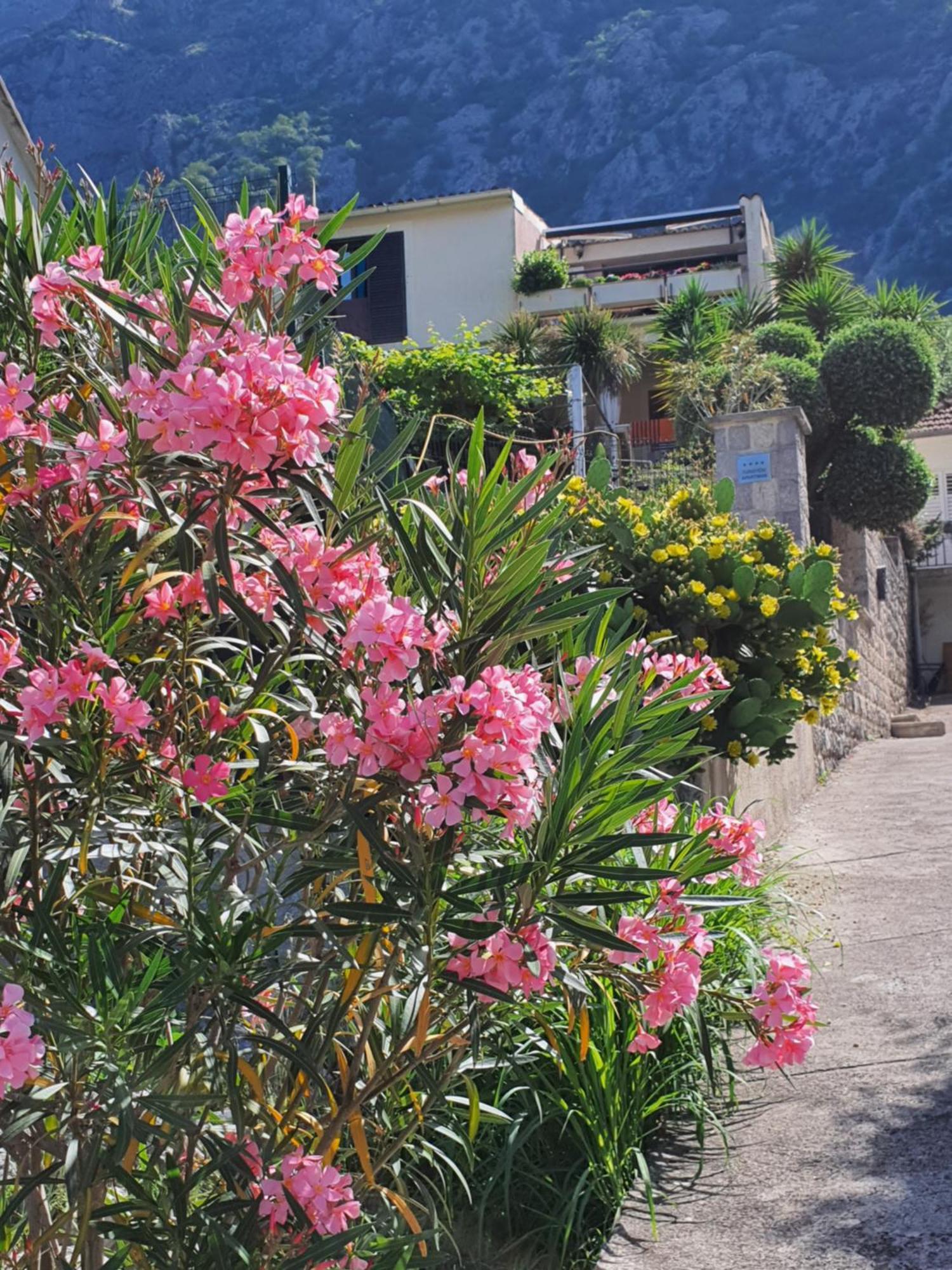 La Grande Apartments Kotor Extérieur photo